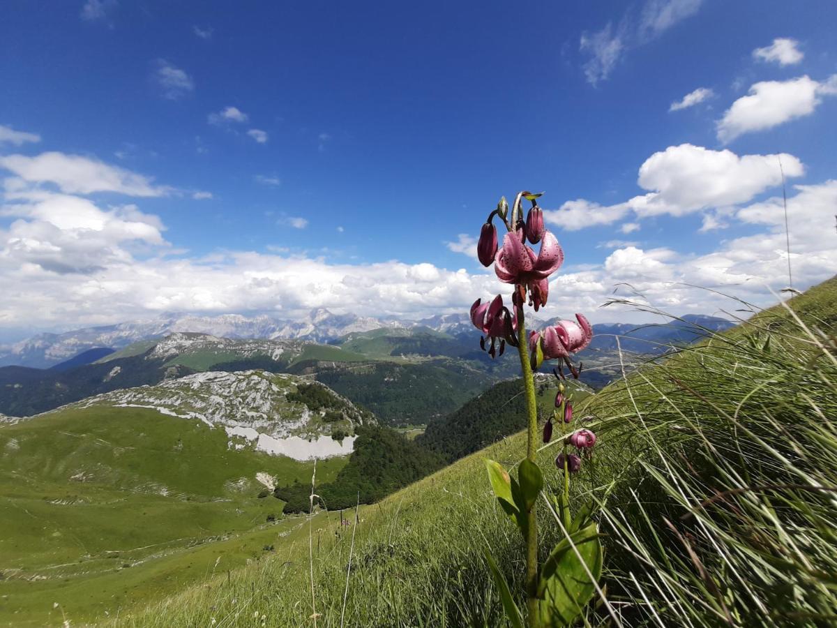 Le Sareymond Bed & Breakfast Menée Екстериор снимка